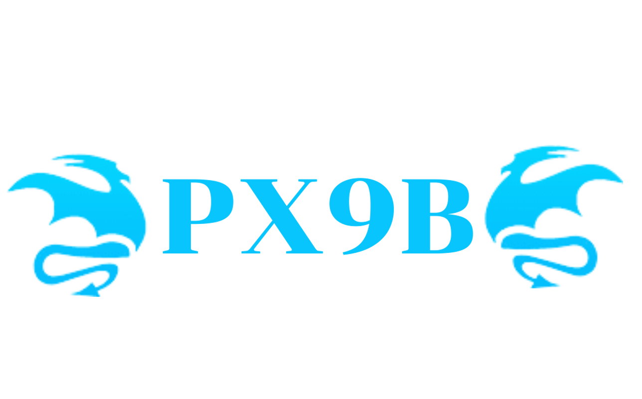 px9b.net